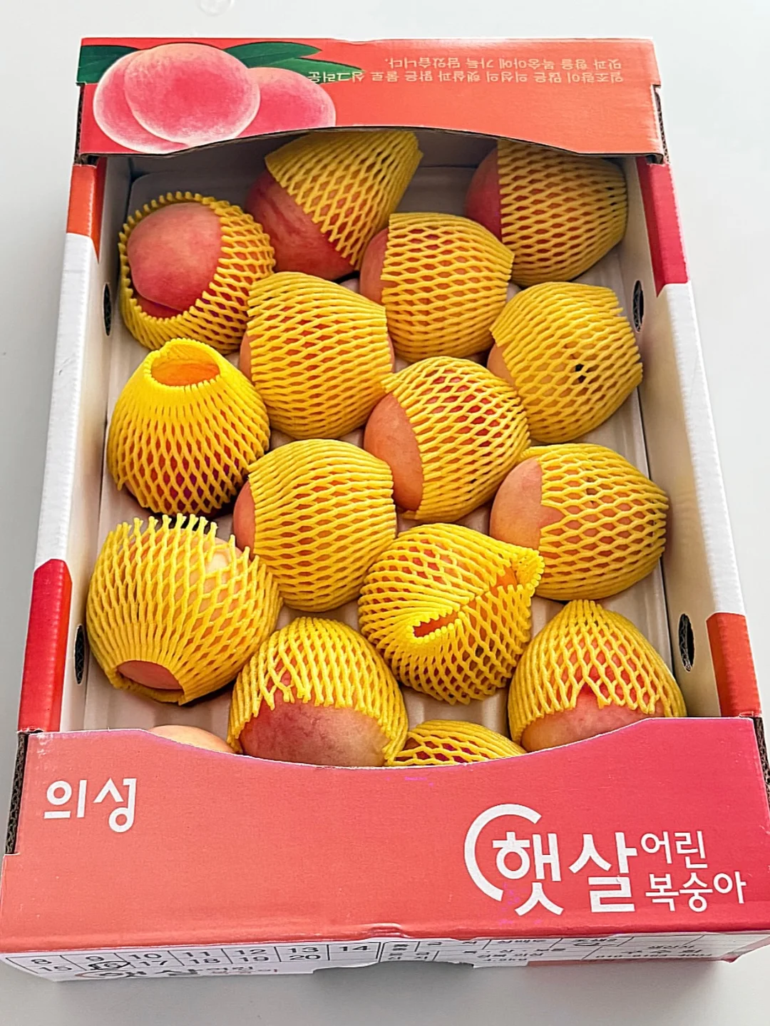 베러버니 사우어 젤리 10