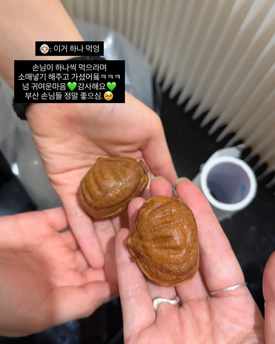 스텐3종 12