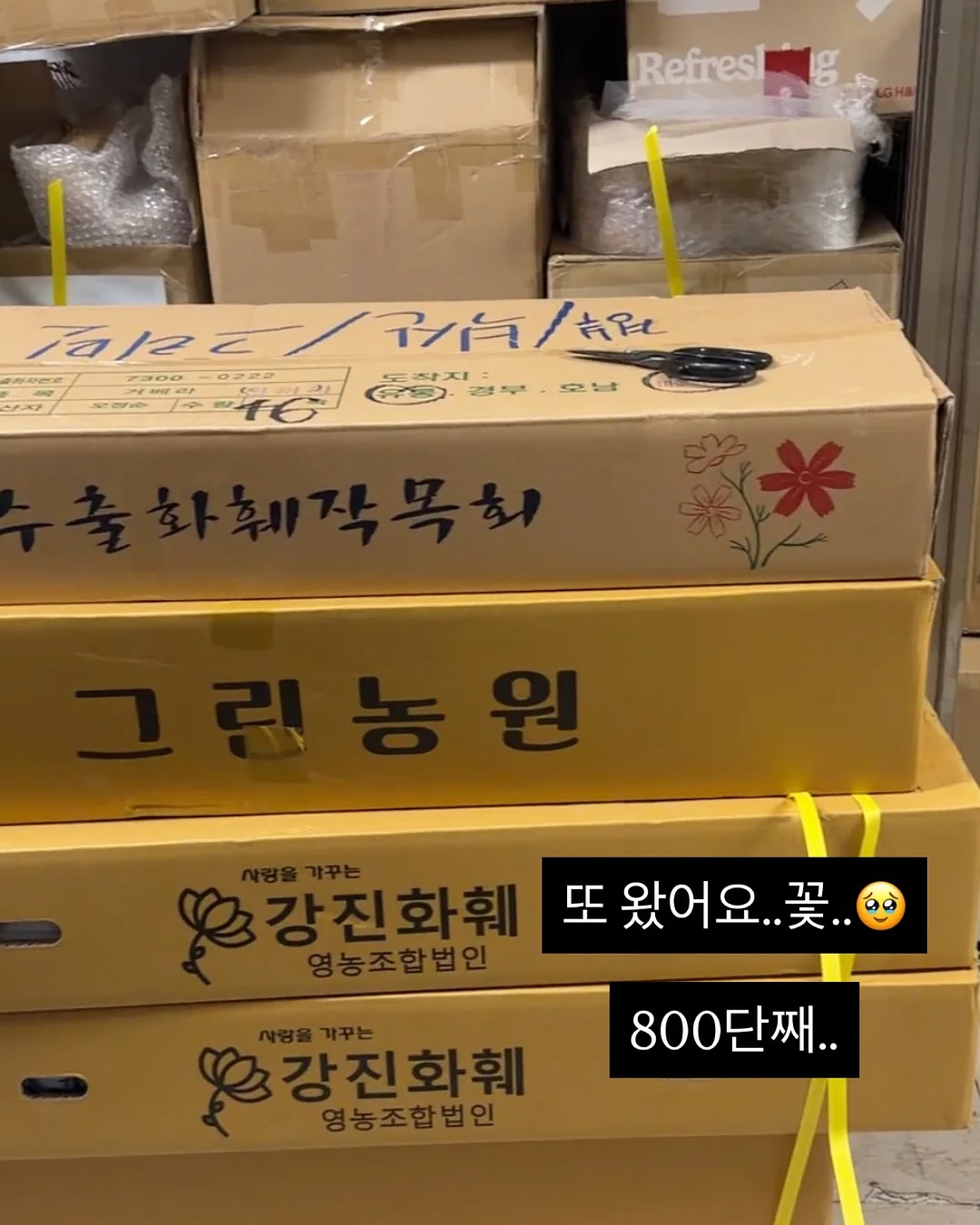 스텐3종 14