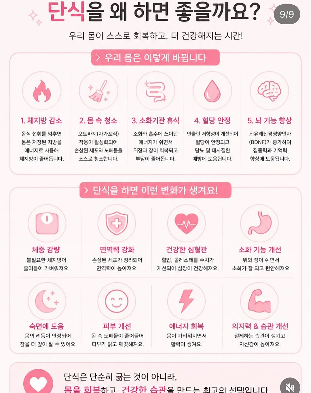 브라이트스타트 휴대용 부스터 시트 9