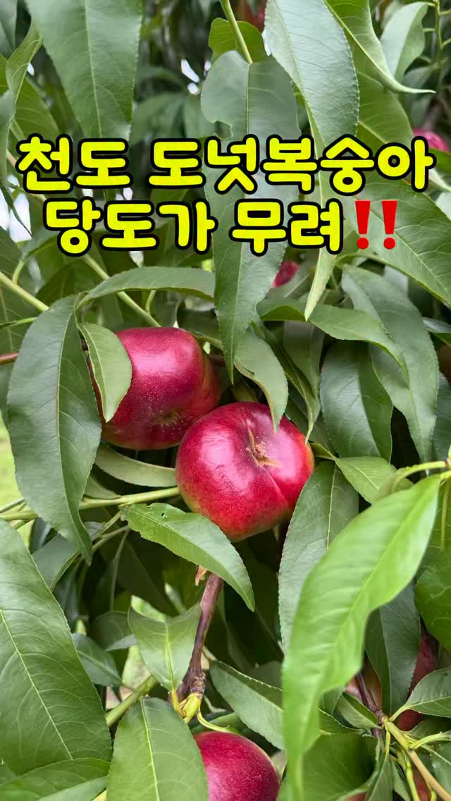 화병