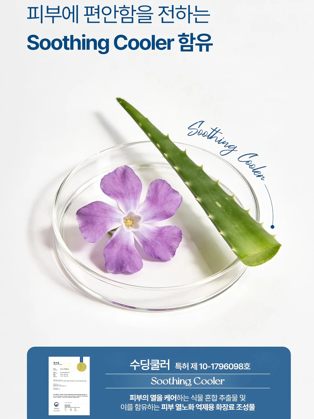 희녹 편백 패브릭 탈취 정화수 6