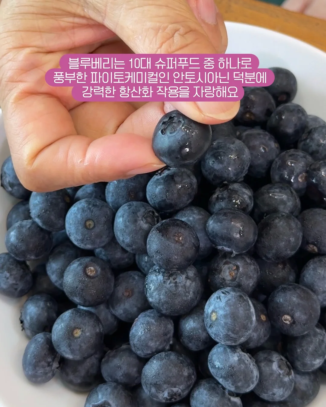 씨없는 수박 2
