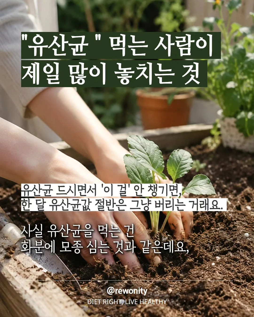 실크플라워 웨딩 아치 1