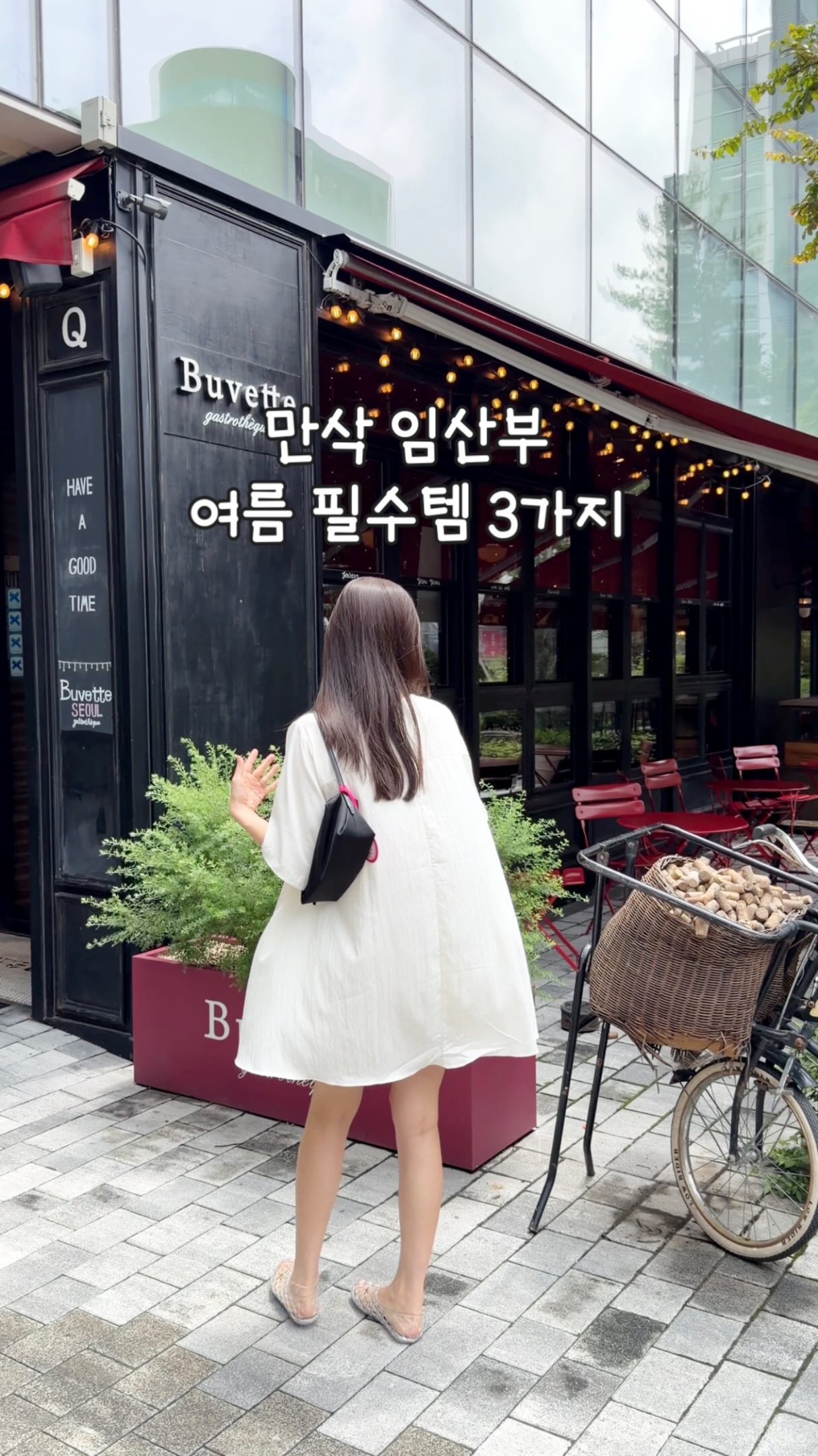 캣인어박스