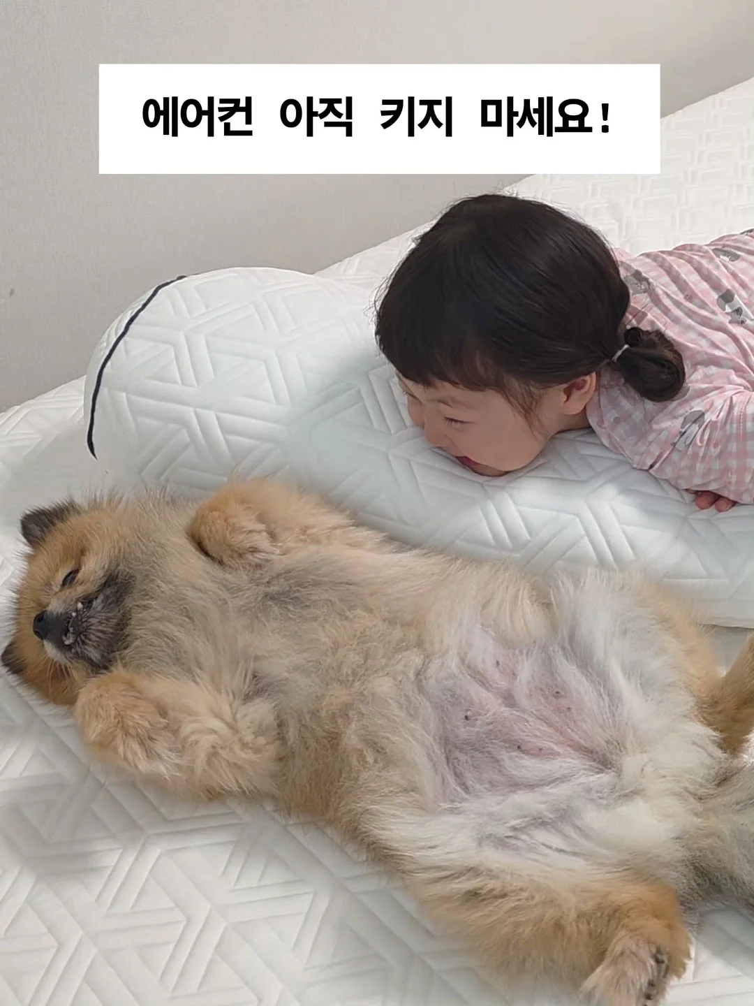 시트 1