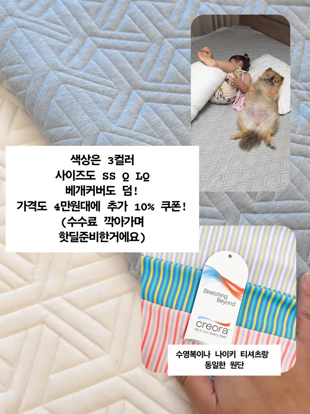 시트 8