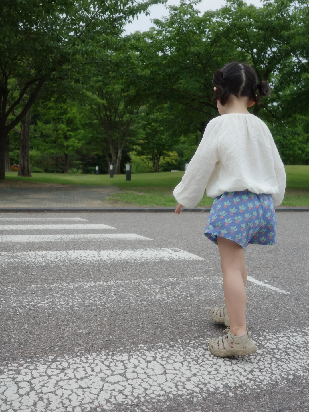 한송이 하트 1