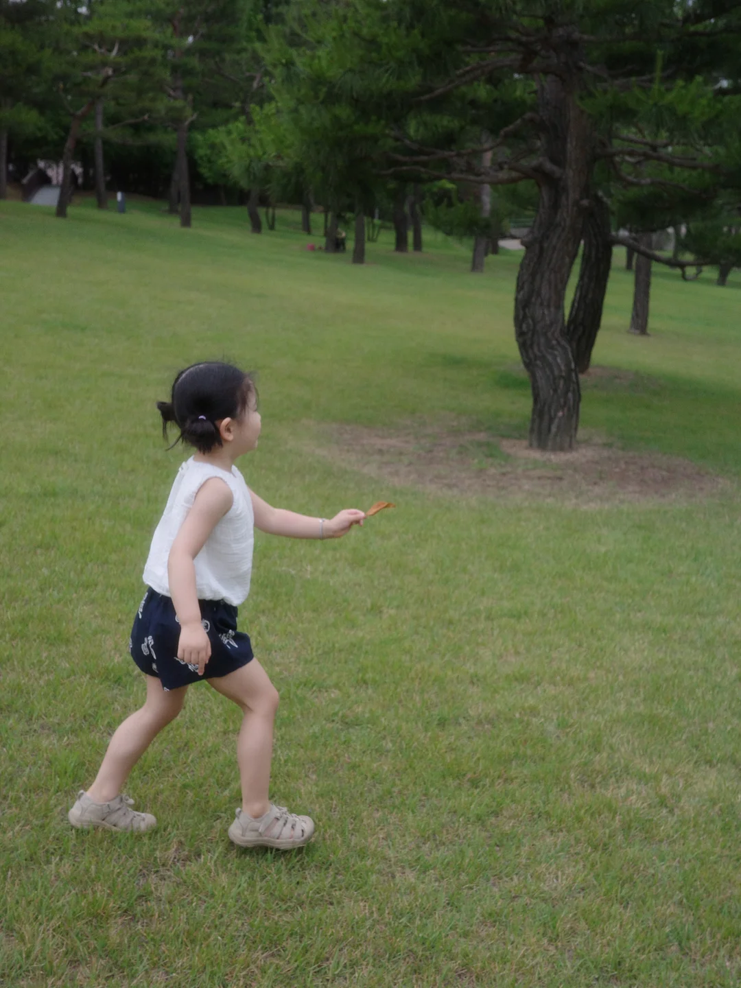 한송이 하트 4