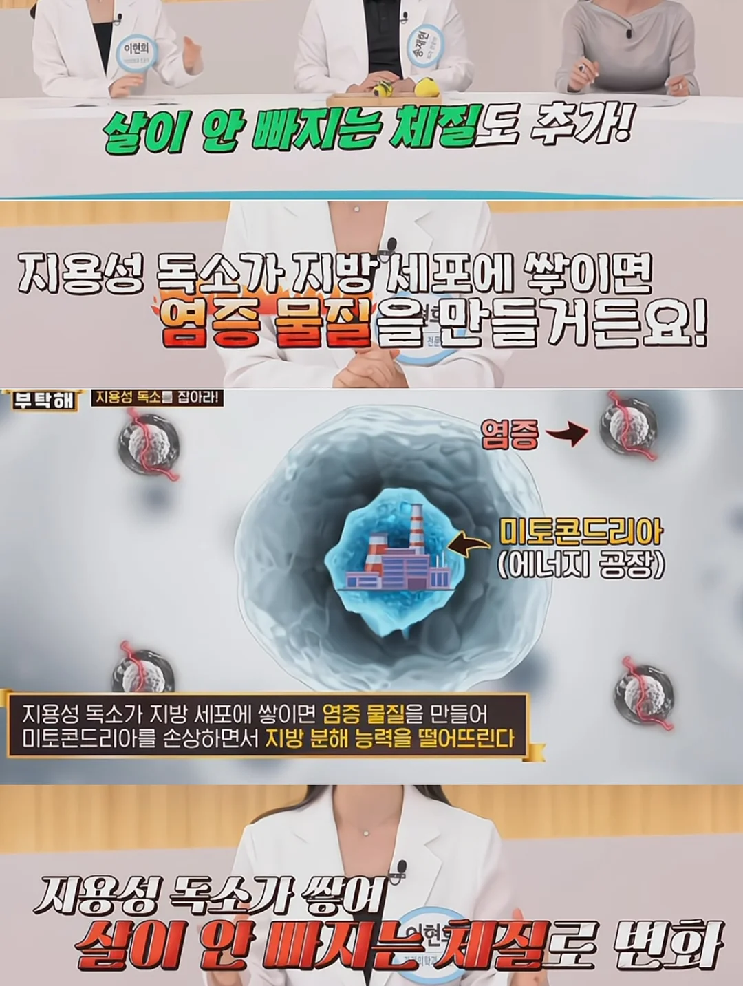 욕실 틈새청소솔 2