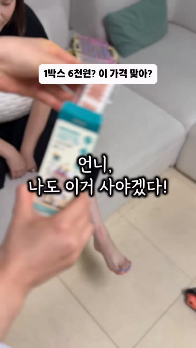 댕댕이 벤치