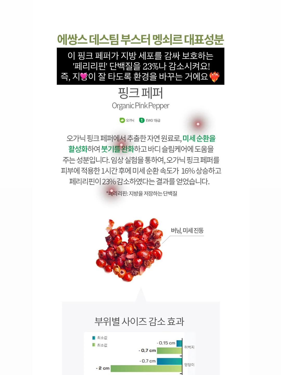 바이오메라 키즈 유산균 12