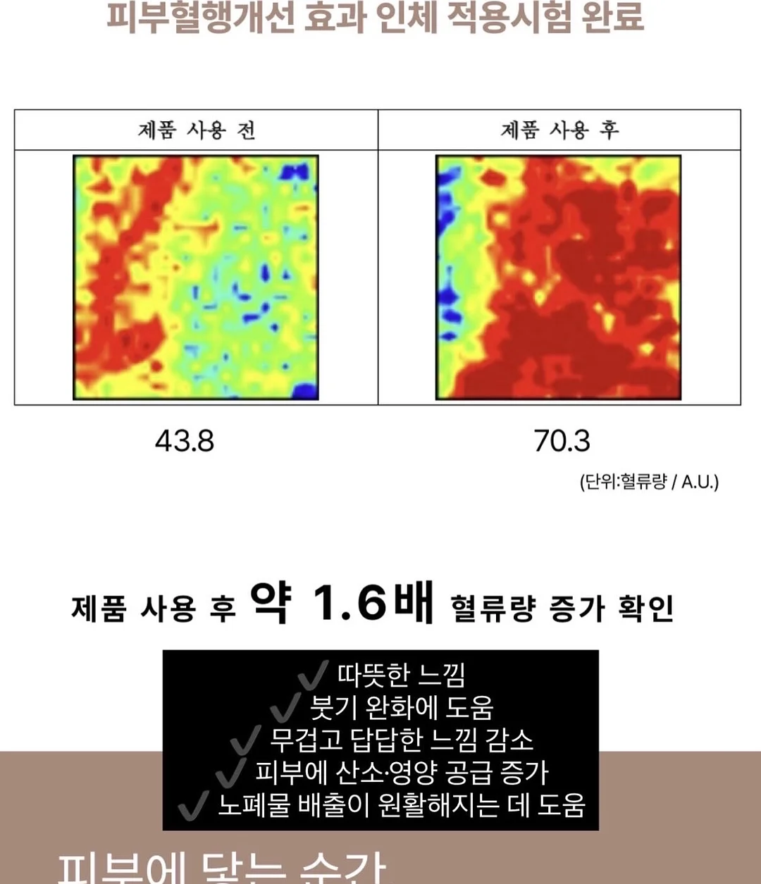 코스트코 할인꿀템 14