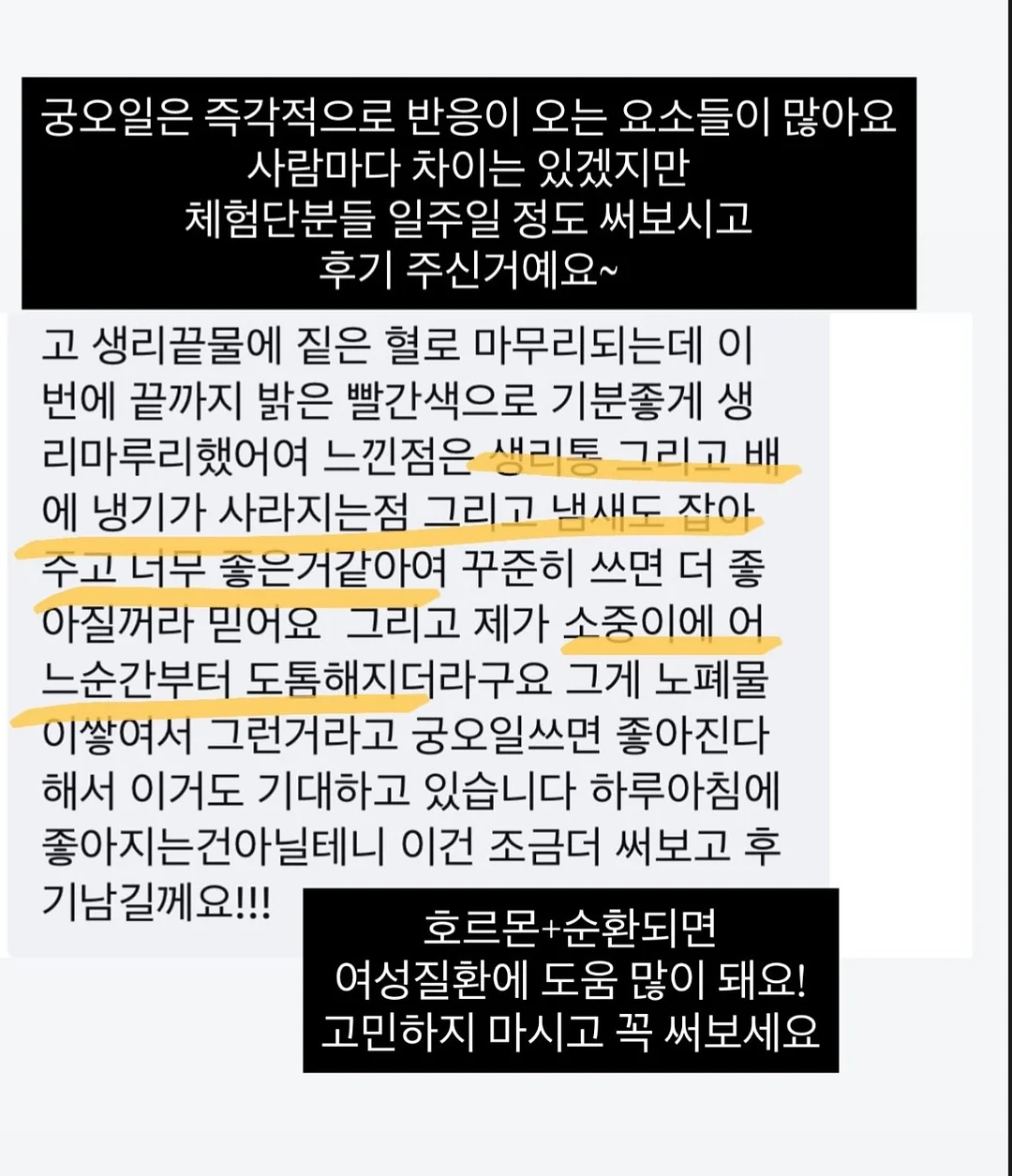 코스트코 할인꿀템 10