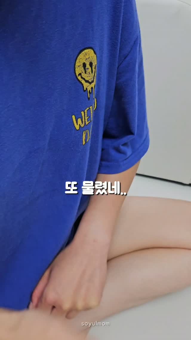 네이처커넥트 좀벌레 트랩