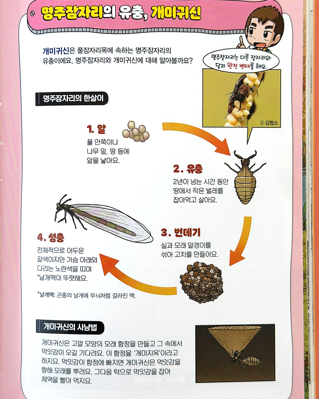 피부PT 12