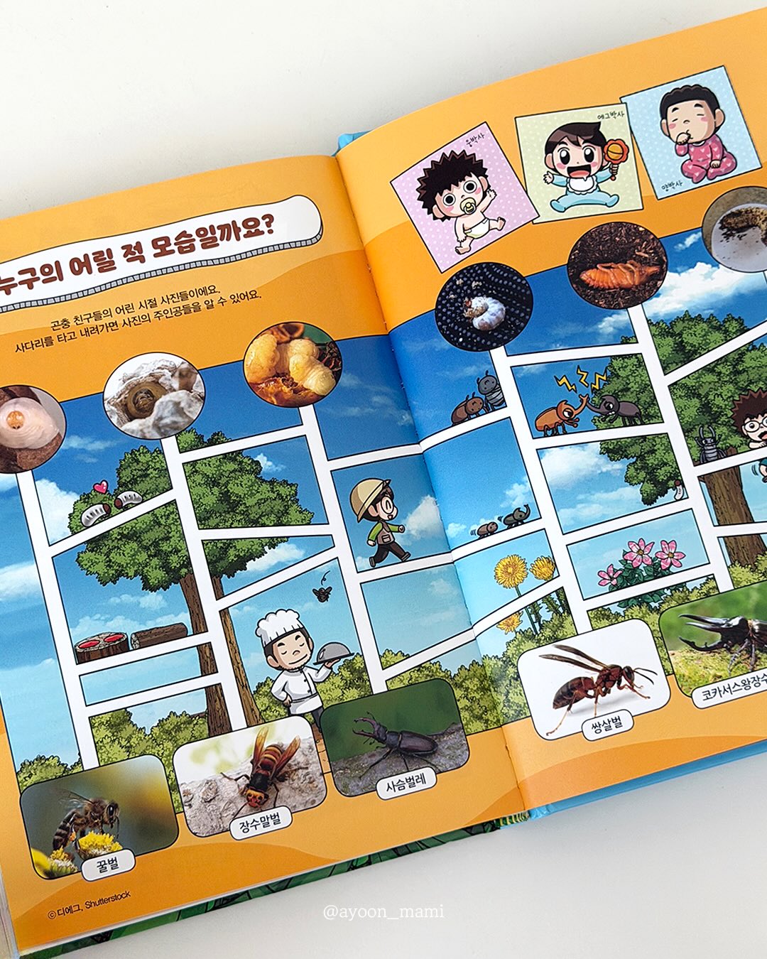 피부PT 9