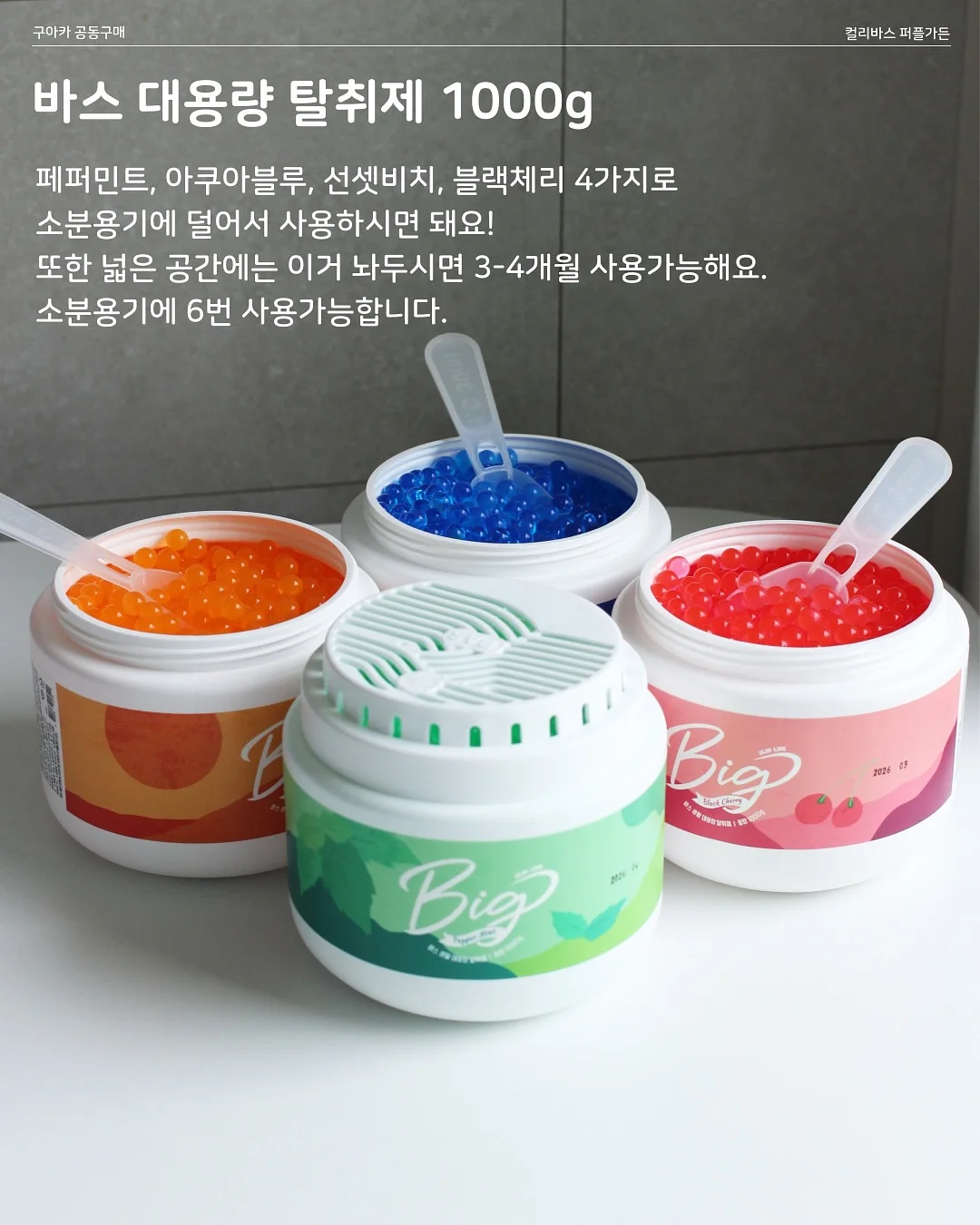 푸른푸들 푸푸 리무버블 스티커 15