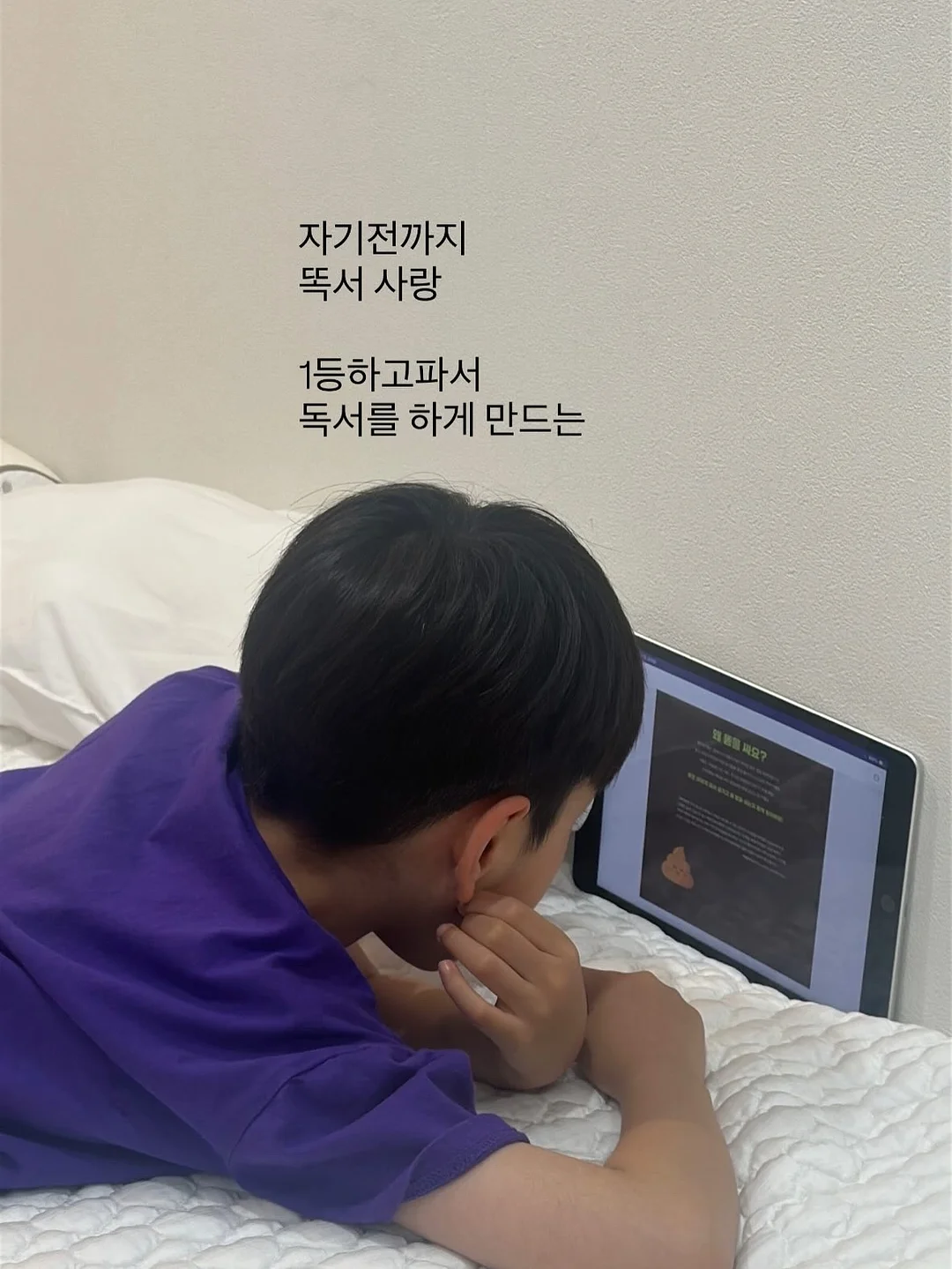 로이첸 롤팬 6