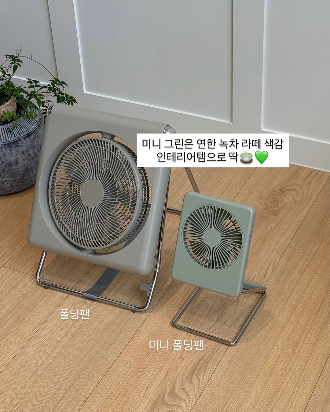온브릭스 골드망고 케이크 12