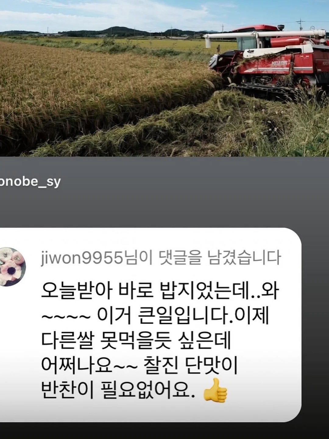 몬치치 넥쿨러 5