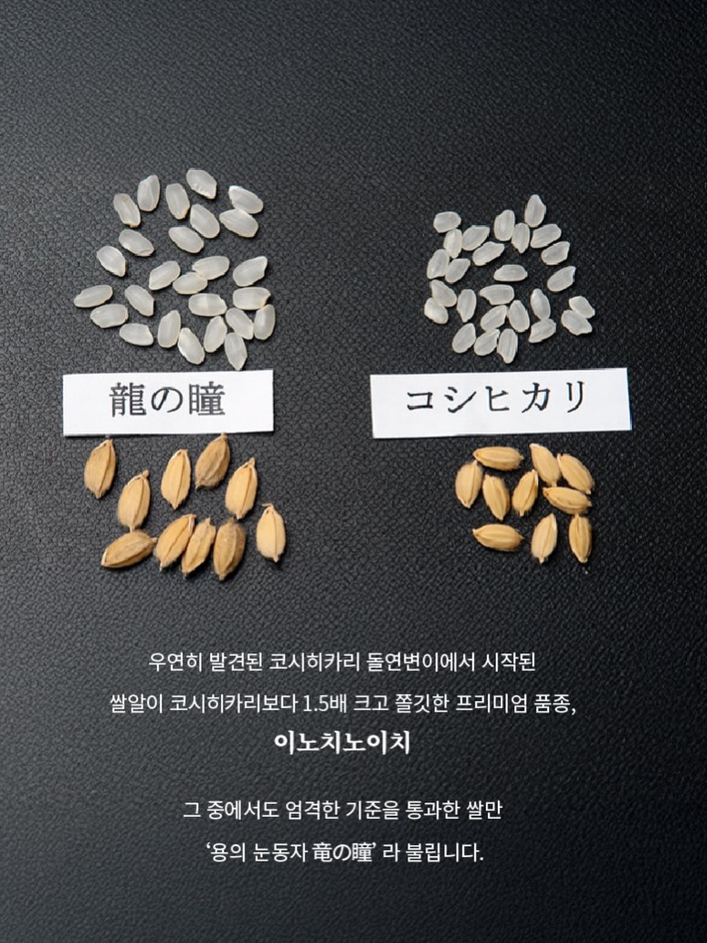 몬치치 넥쿨러 8