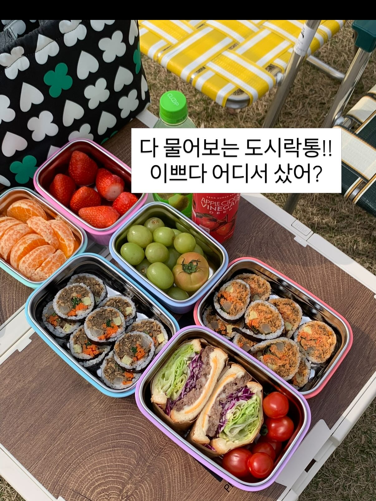 골드스타해일밥 11