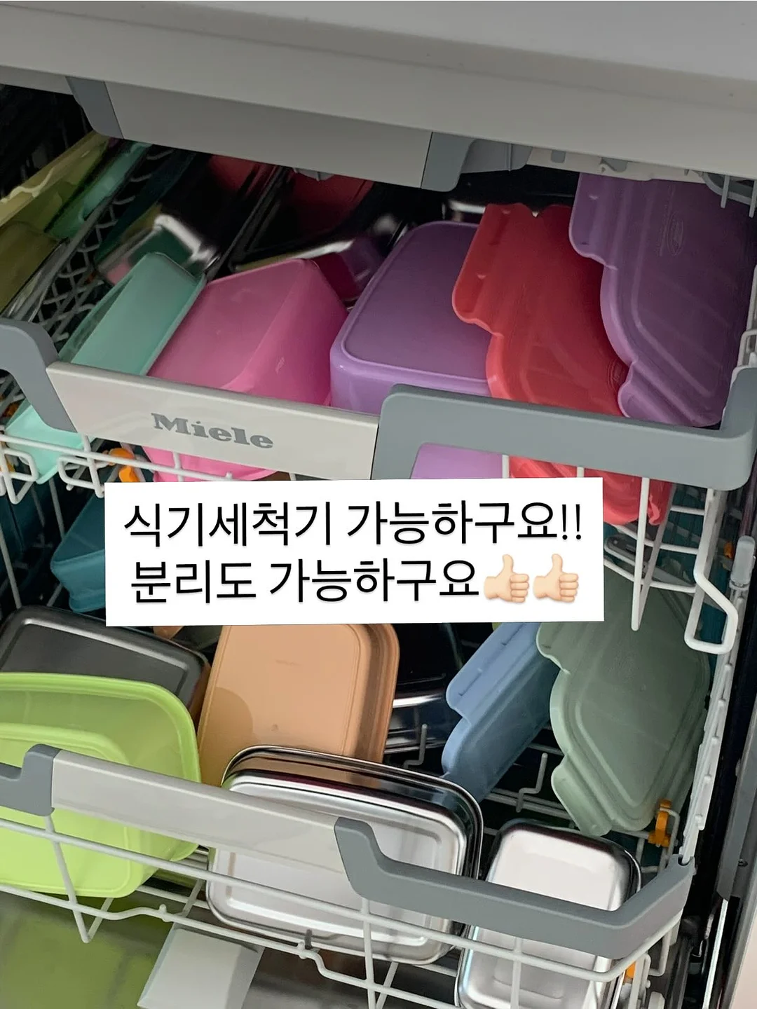 골드스타해일밥 8