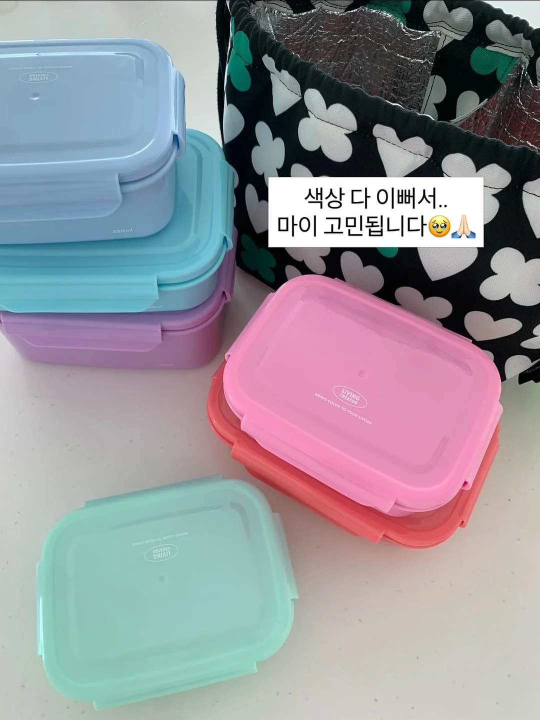 골드스타해일밥 9