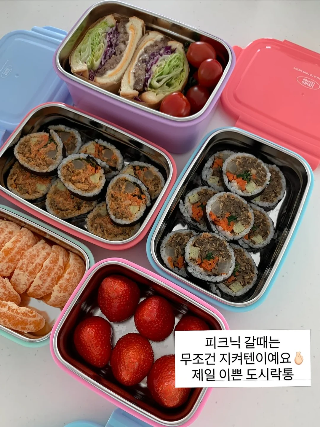 골드스타해일밥 10