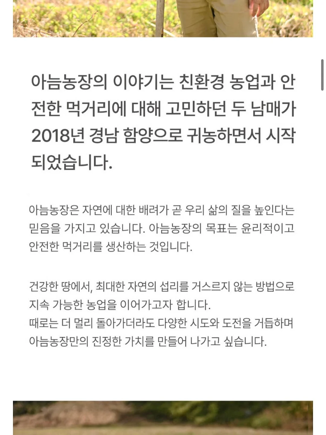 전동 커튼 3