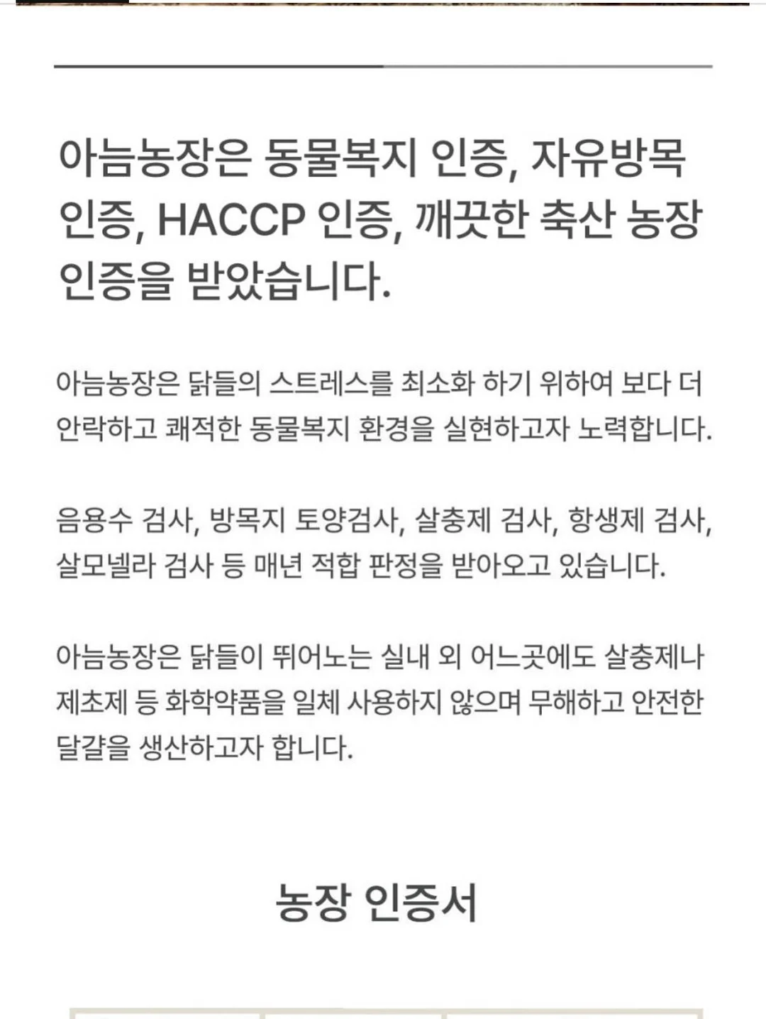 전동 커튼 5