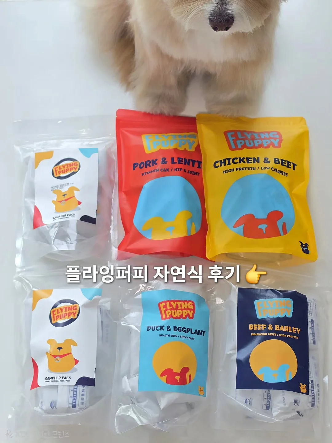 레이디 토트백 1
