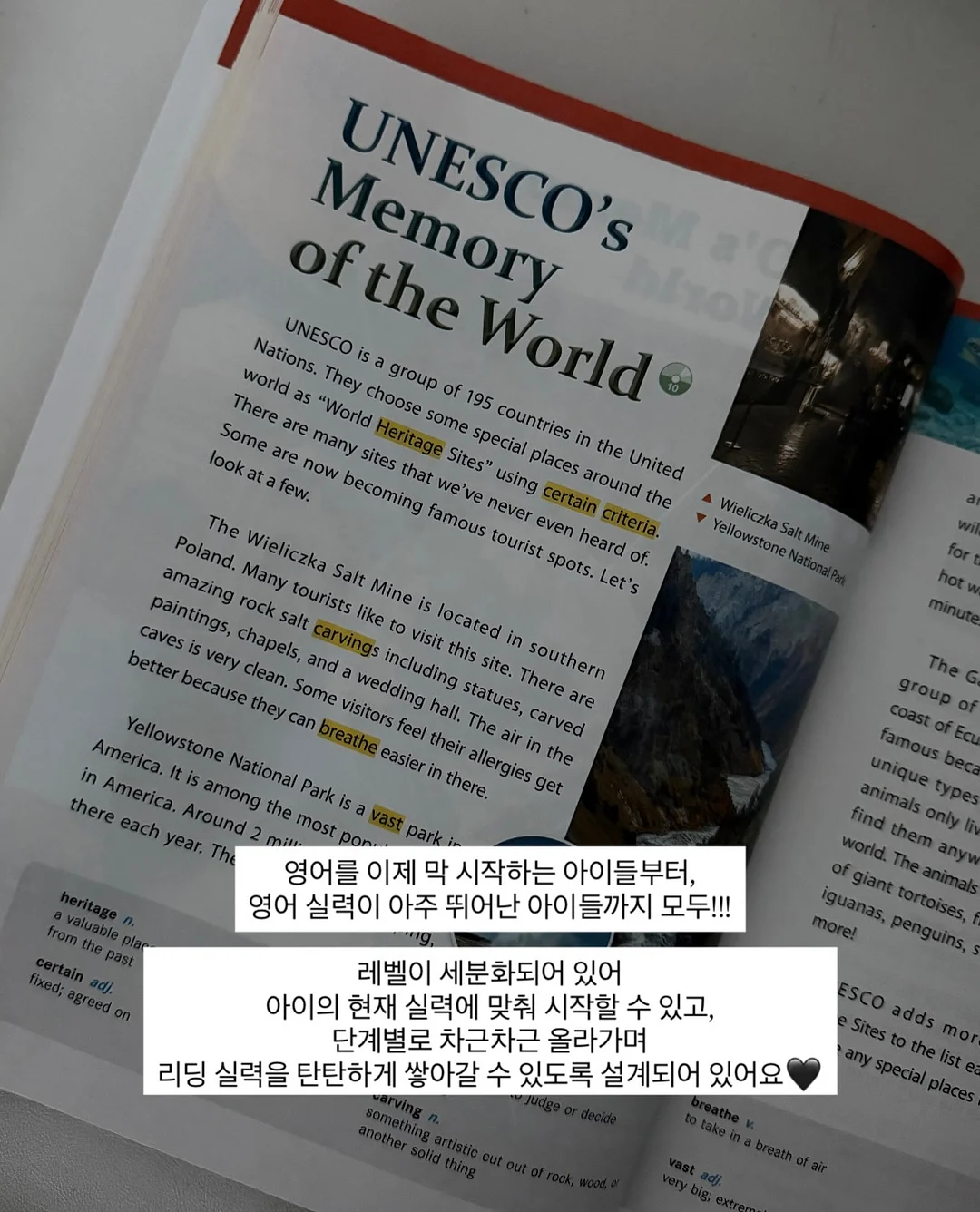 카드지갑 4