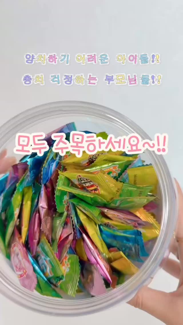 인형 정리함