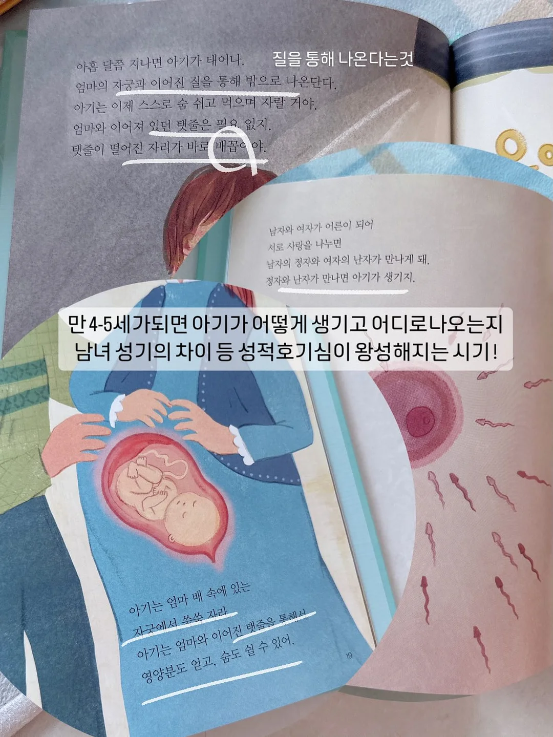 동글동글 꽃바구니 2