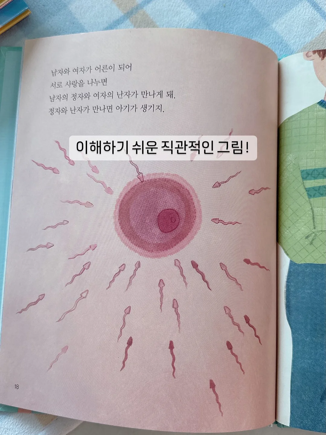 동글동글 꽃바구니 3