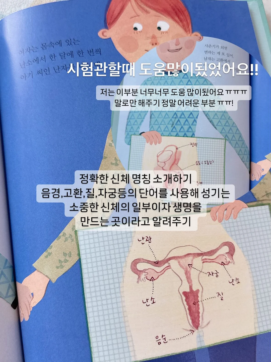 동글동글 꽃바구니 4