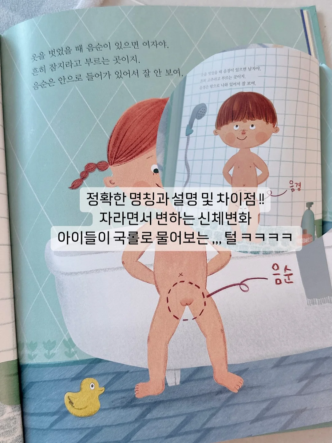 동글동글 꽃바구니 5