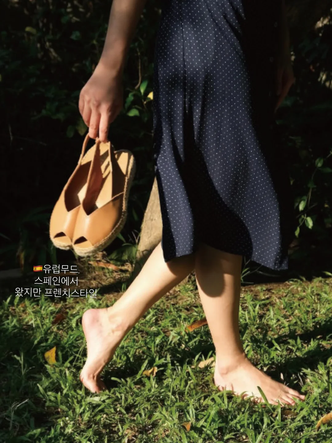 모로오렌지 다이어트 9
