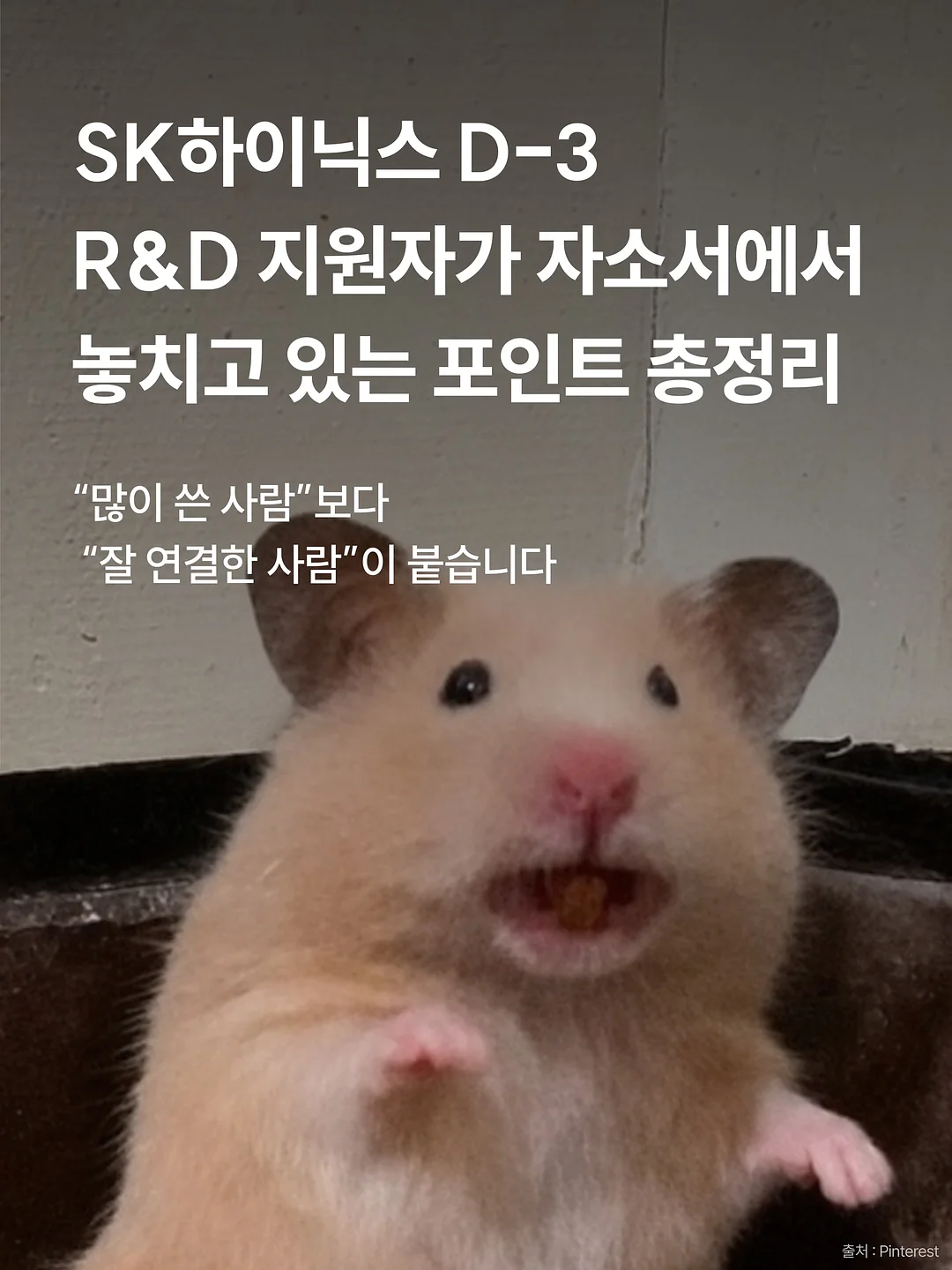 어린이날 파티 풀코스 1
