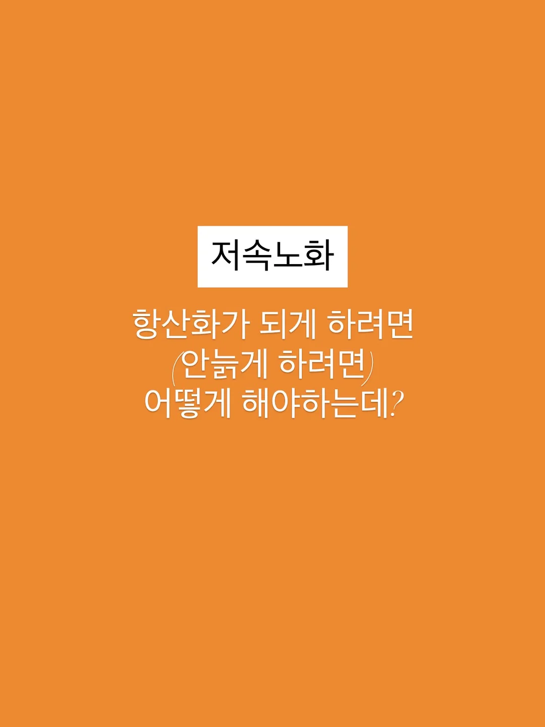 버즈 블라우스 6