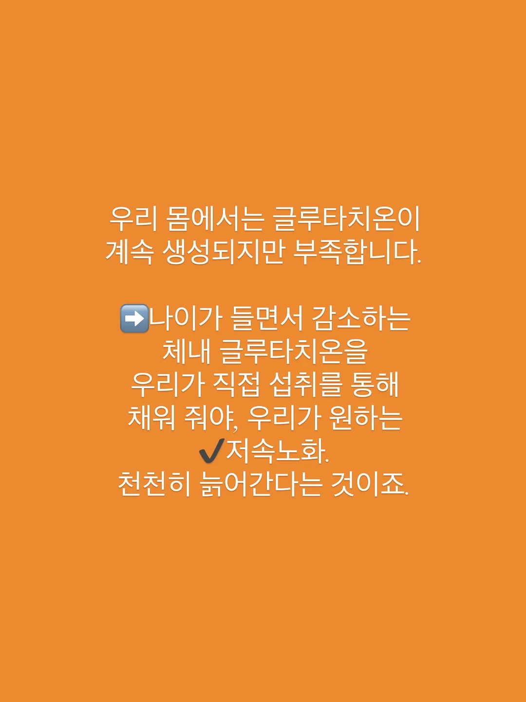 버즈 블라우스 8