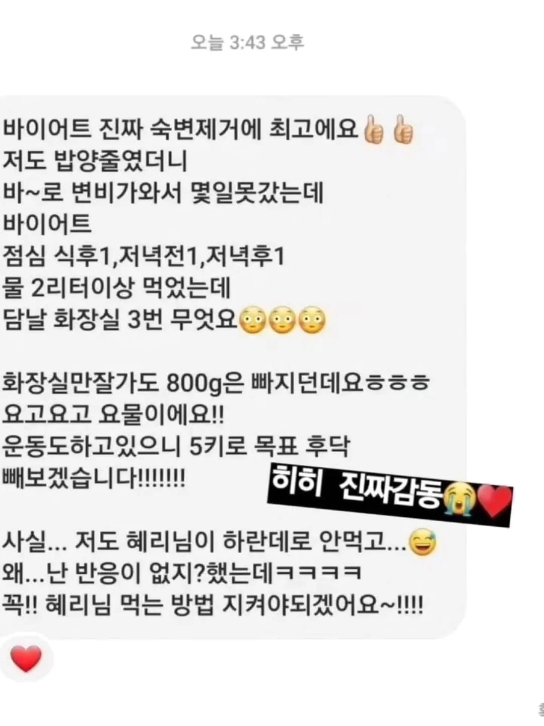쌍삥줄 버뮤다 12