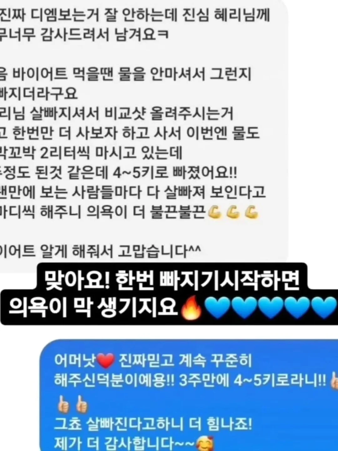 쌍삥줄 버뮤다 9