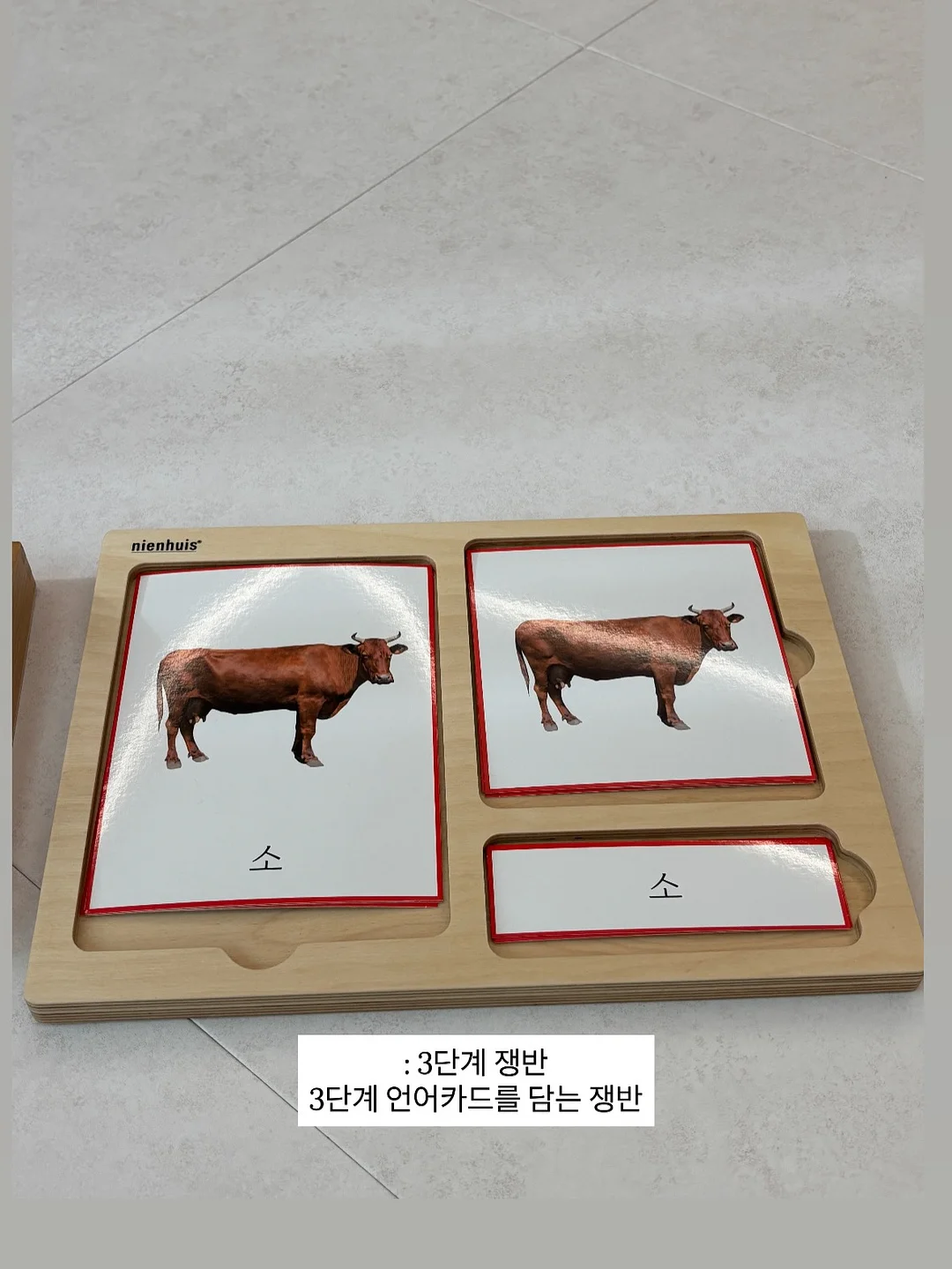 네츄럴 코어 유산균 15