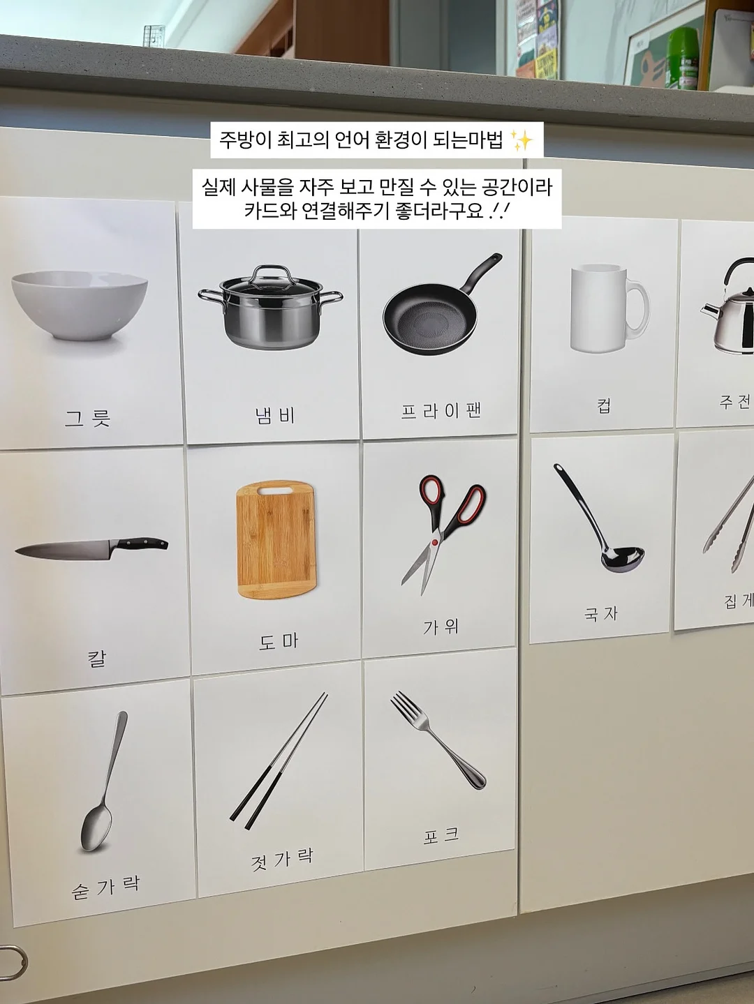 네츄럴 코어 유산균 4