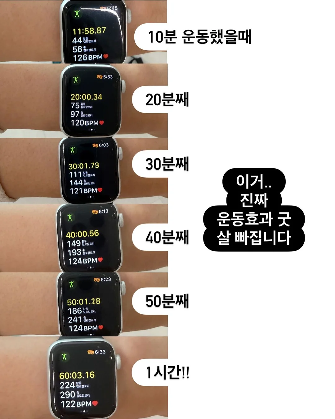 로스팅우드 8