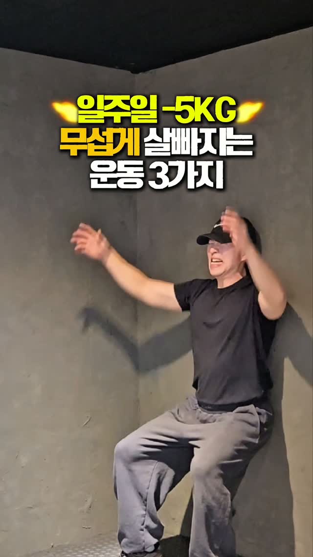 라비킷 두상베개