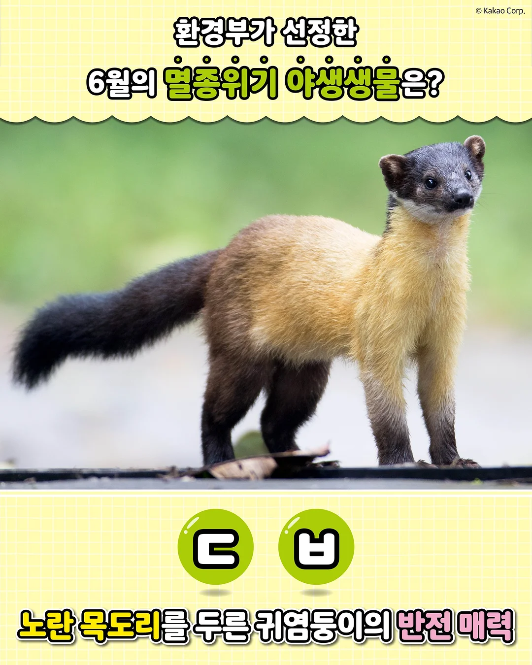 피크닉 텐트 1